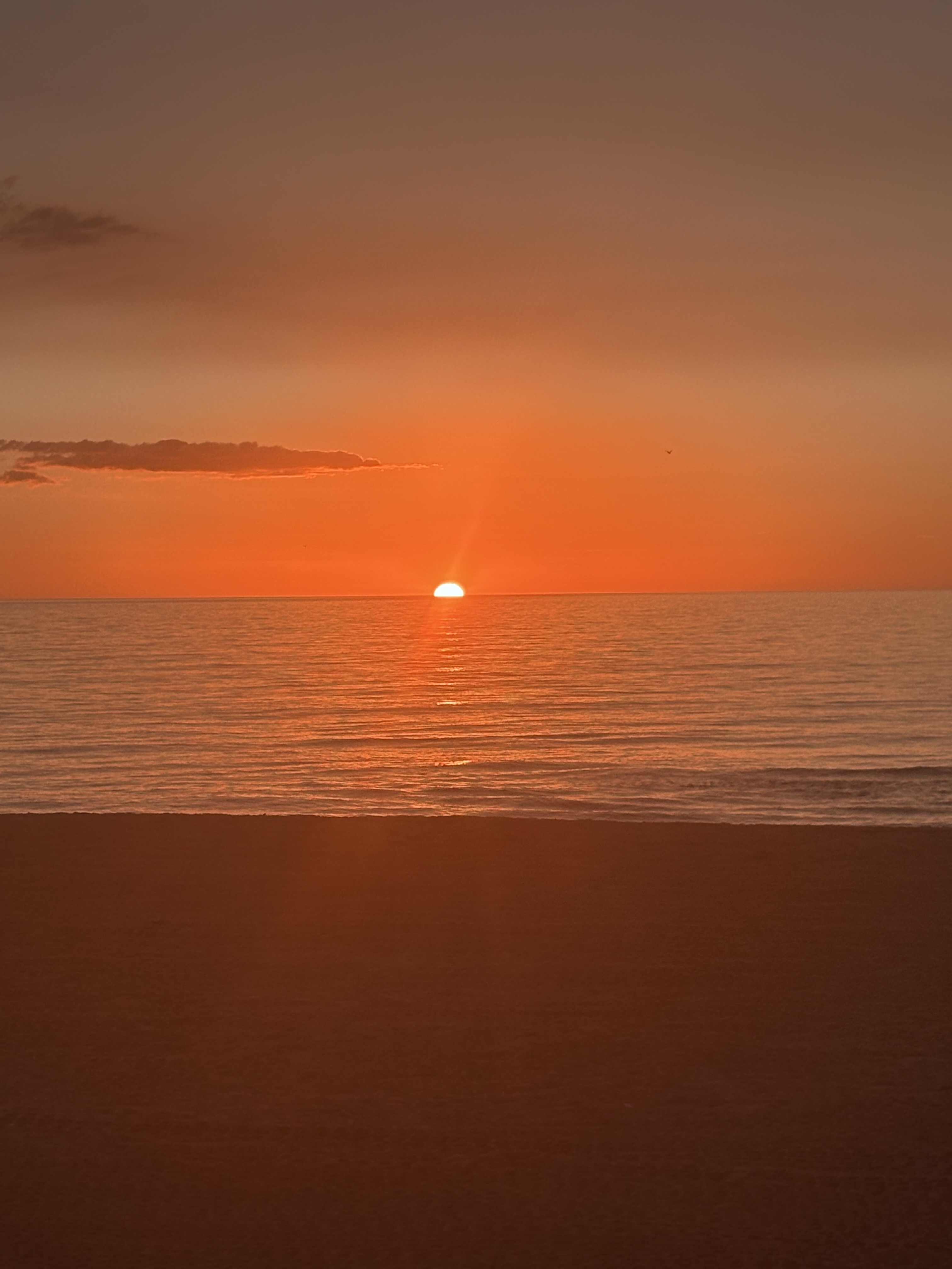 The Vacation Exchange Network